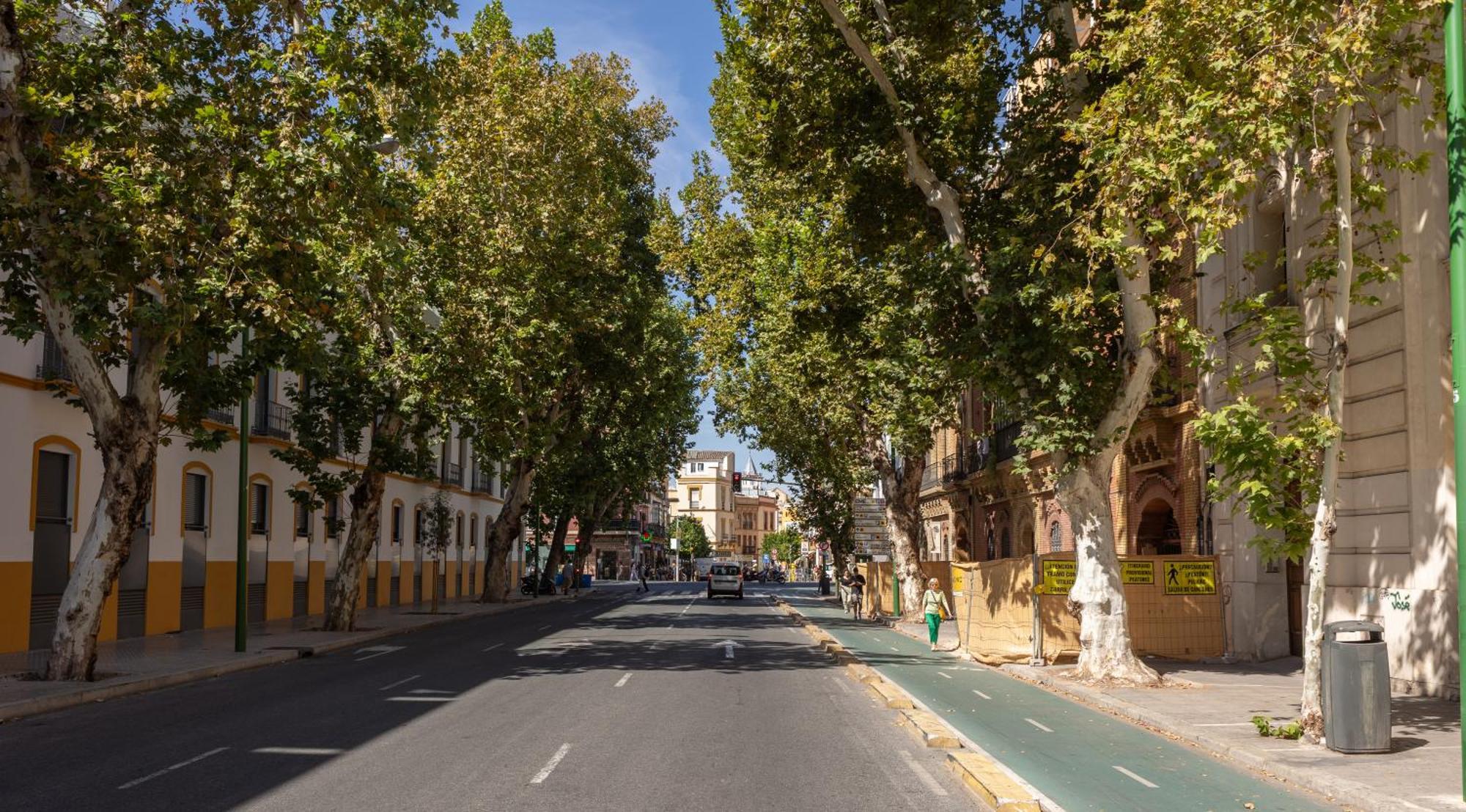 Charming 2 Bedroom Apartment At Sevilla City Center By Ocityzen מראה חיצוני תמונה